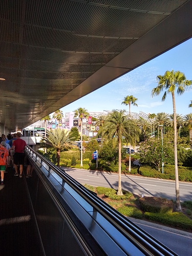 IMG_20210517_082615459_HDR