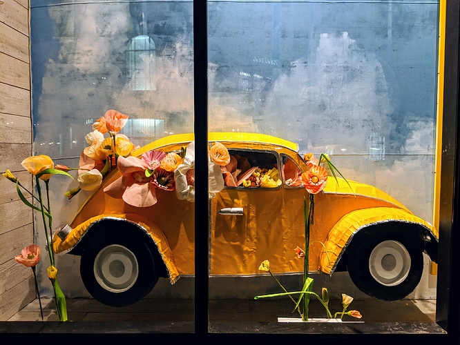 MVIMG_20190305_201401