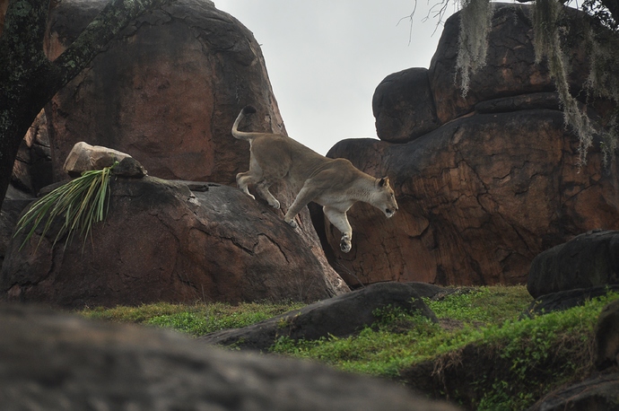 Wild%20Africa%20Trek%20114