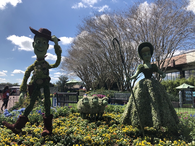 20190228_181340338_iOS