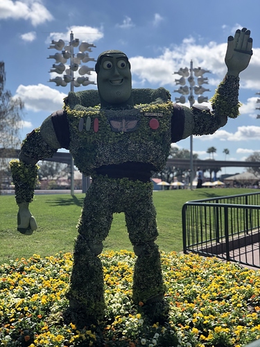 20190228_181325955_iOS