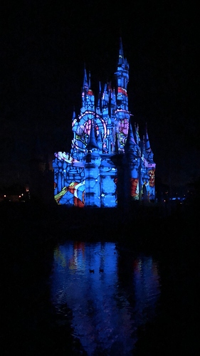 20190228_004116793_iOS