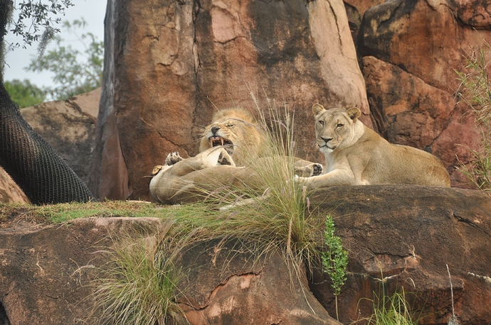 Wild%20Africa%20Trek%20128