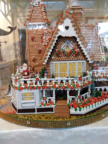 IMG_20201217_101353238