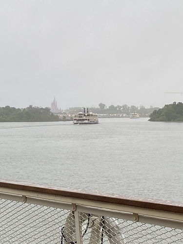 468C3E78-613F-473F-A7F9-FAF4C7D547F9_1_105_c