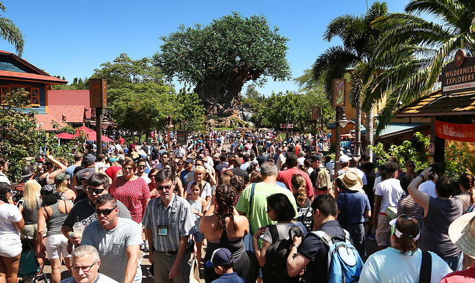 os-pictures-opening-day-at-pandora-the-world-of-avatar-20170527