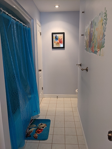 PXL_20201010_145512837