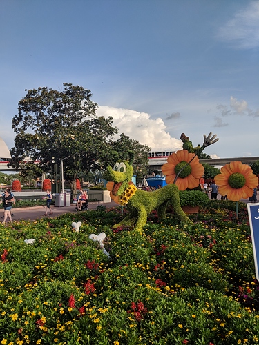 IMG_20190506_183820