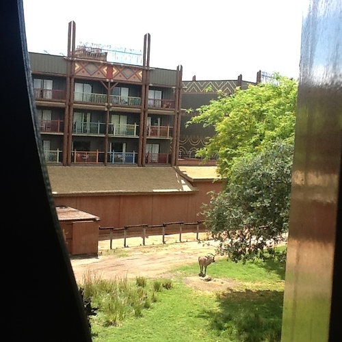 C852E0FC-82D3-4F76-85BB-021DFDA3A97D