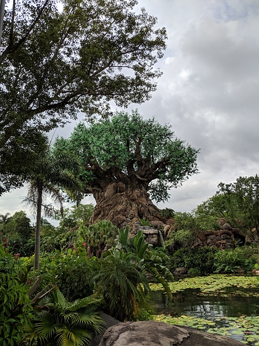 IMG_20190506_095547