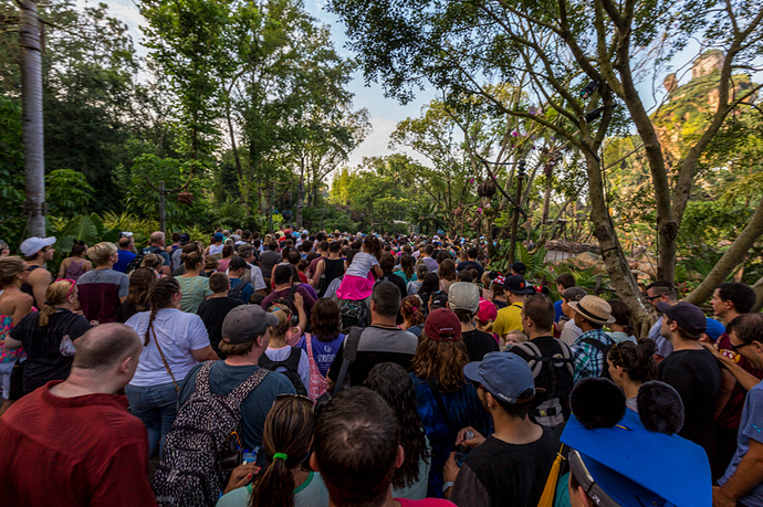 crowds4