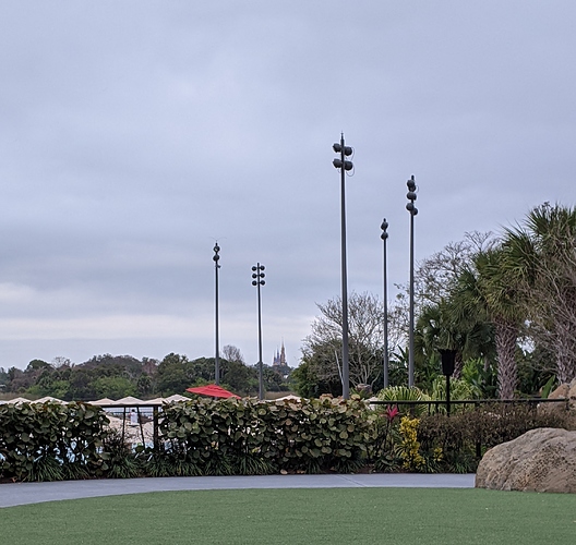 PXL_20210206_175448530