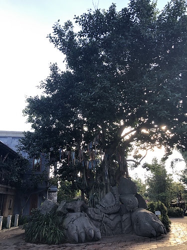 20190302_133226529_iOS