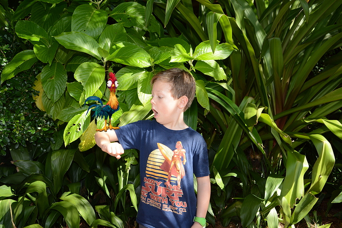 AK_KALIEXITICON_20181109_414344675183