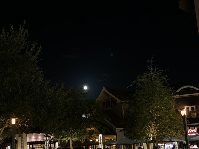 posturepedic sayer plush