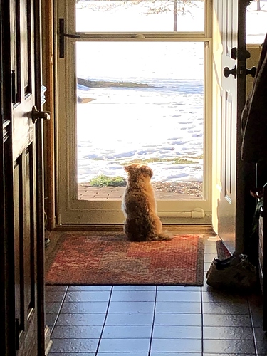 IMG_2558