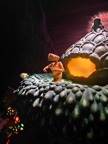 IMG_20211214_184202828