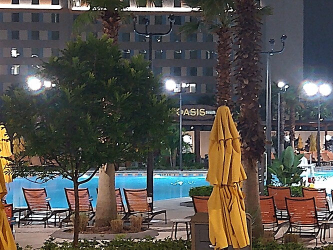 IMG_20211214_233239892