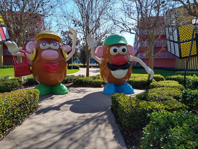 IMG_20210226_102657675_HDR