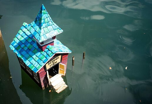 TOON_lagoon_schooloffish-1200x822