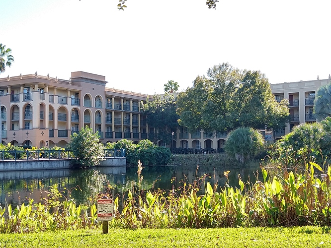 IMG_20210104_143526097_HDR