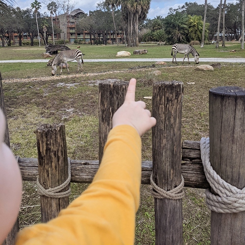 IMG_20210131_210143_084