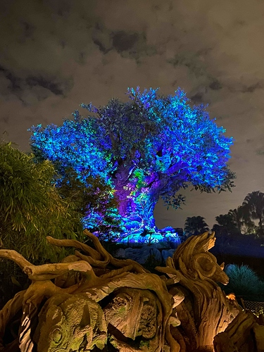 received_2656780271026533