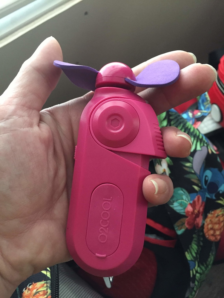 Handheld fans Walt Disney World TouringPlans