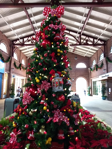IMG_20201217_123808084