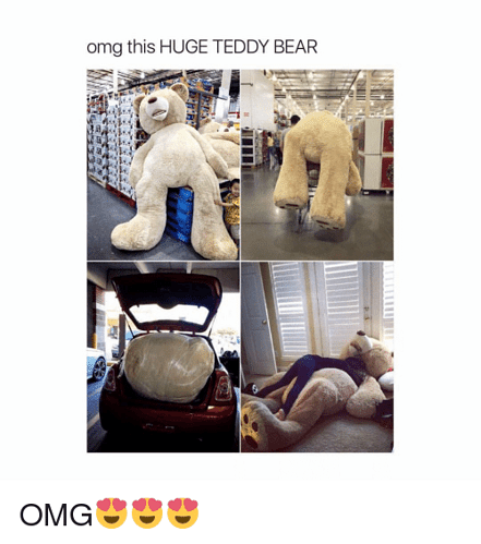 36e5039c289b919f3604556449f586c0