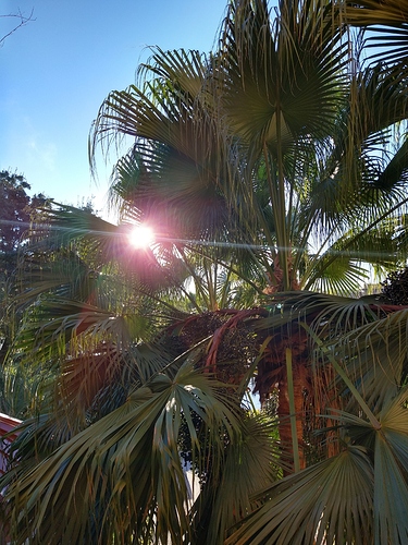 IMG_20210105_081714592_HDR