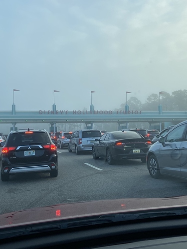 E292B2CE-319F-465C-BC3B-8900A1CFA80F_1_105_c