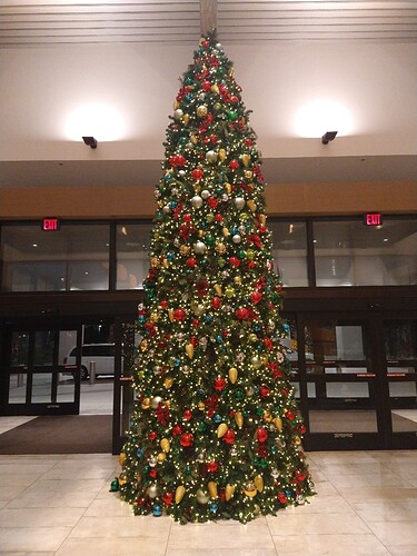 IMG_20211214_233444191