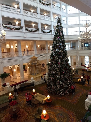 IMG_20201217_114308161