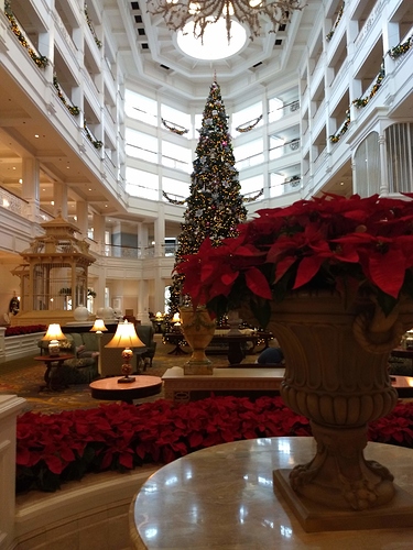 IMG_20201217_112606817
