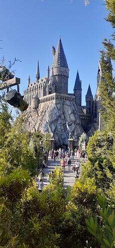 20210309_083529
