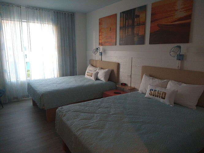 IMG_20211214_165351556