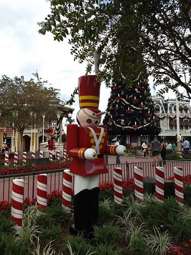 IMG_20201214_131904519