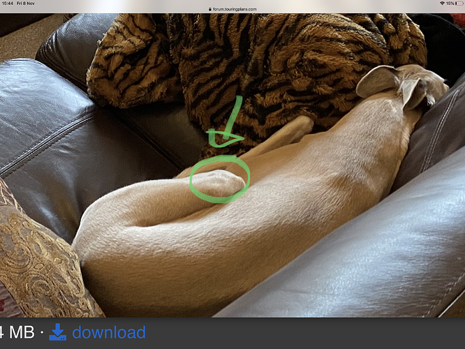 C0F2624B-6B2D-4899-A0D7-8C09EA2A3D91