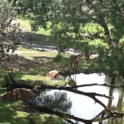 2430FAB6-8F41-45C2-AFA4-F65F8263B58A