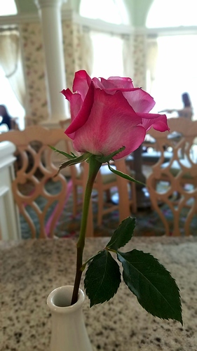 20180510_235922